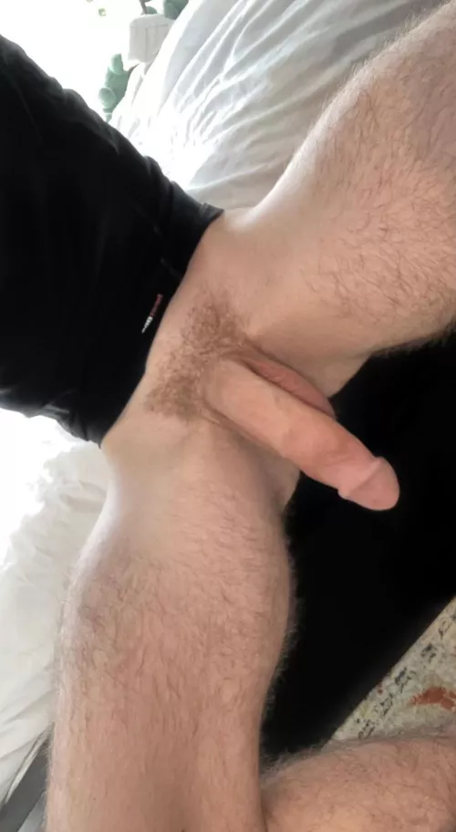 it gets even bigger … by tatebwc