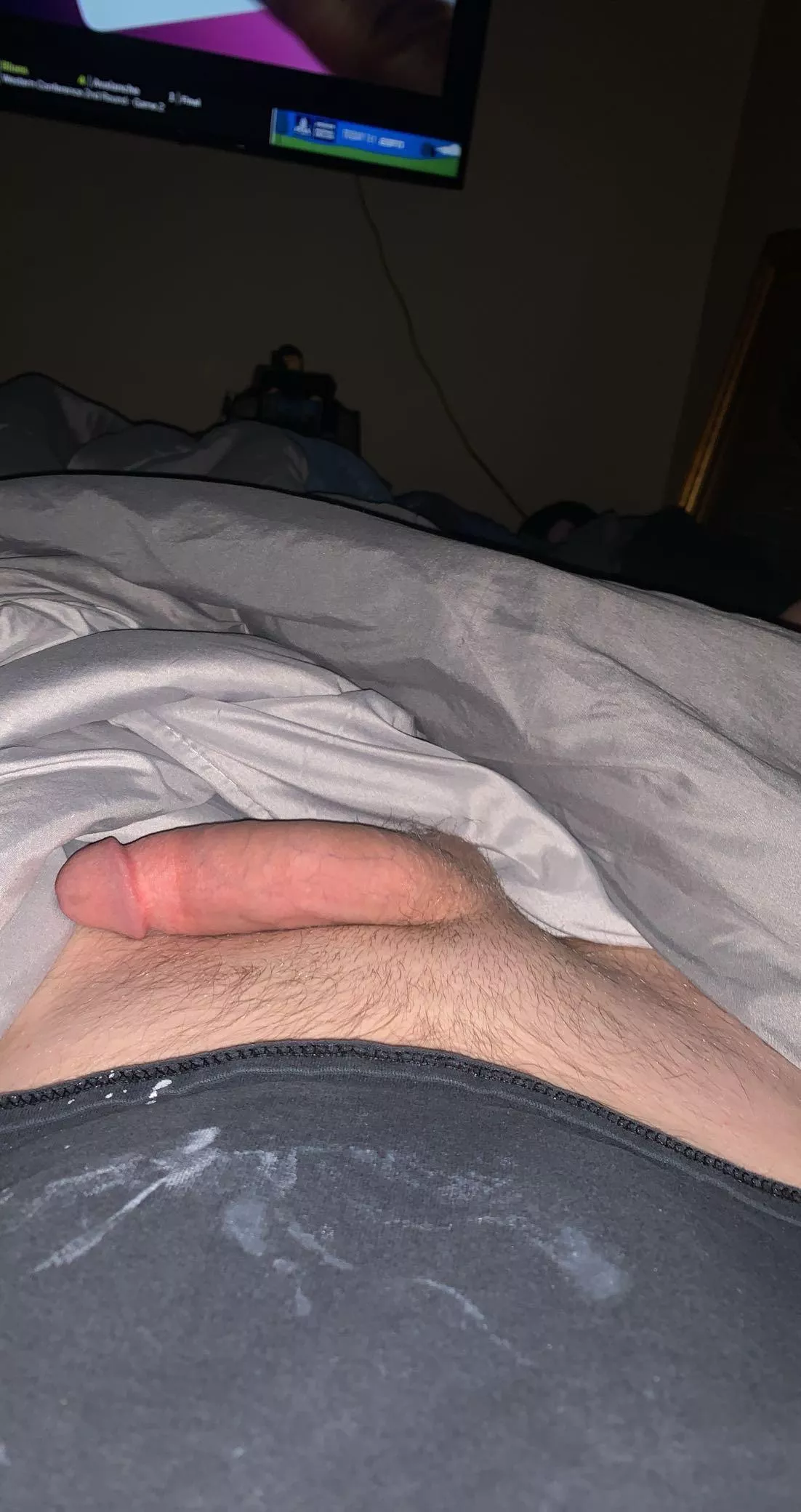 Just a softy to get your mind curious posted by Normal_Penalty332