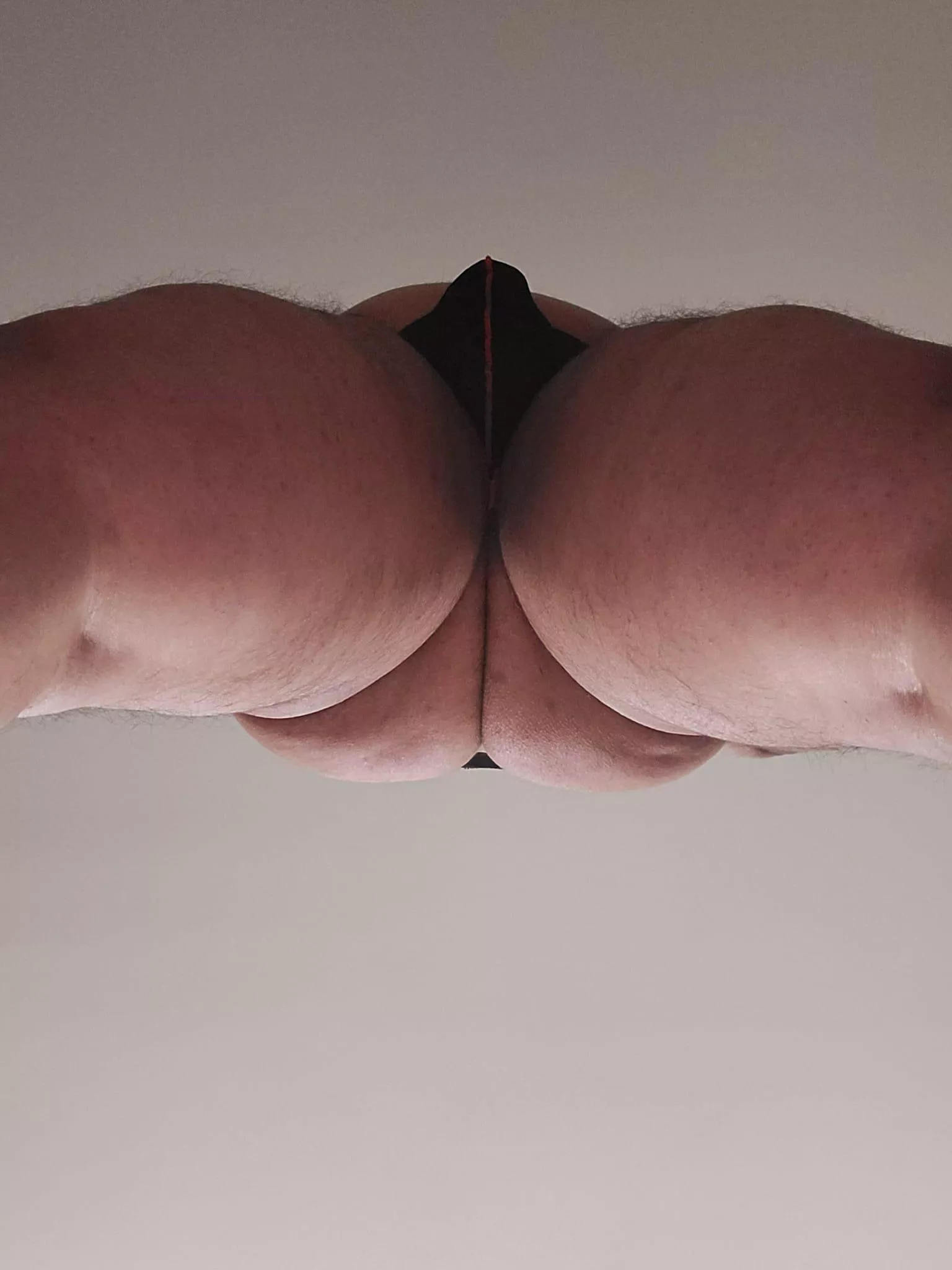 Like the view? posted by Fancy_Rhubarb_7469