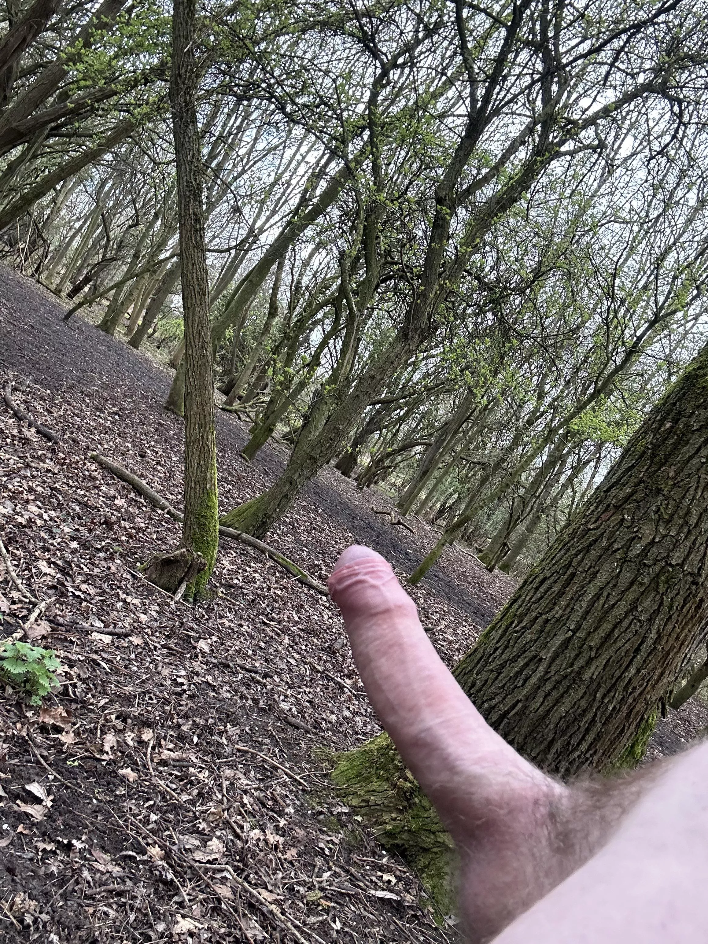 Out in the woods posted by Heavy-Implement-6517