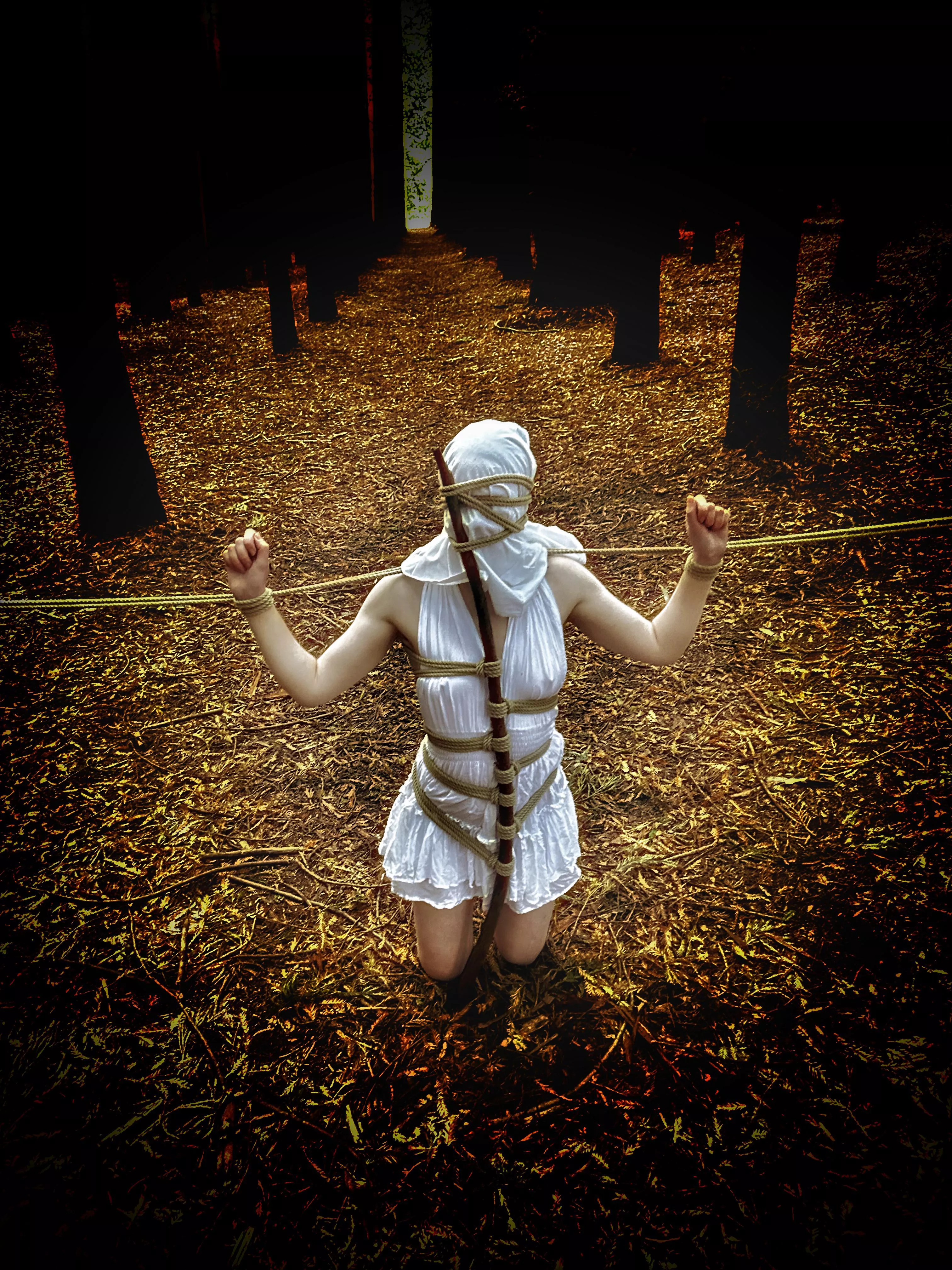 ~ PILLORY ~ posted by Safe_and_Bound