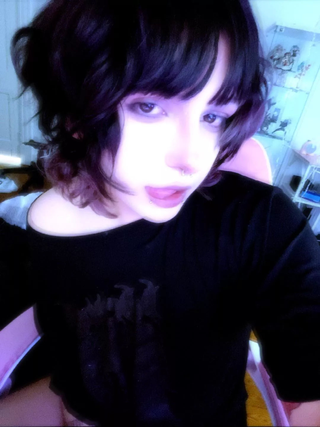 professional e-kitten at your service  posted by gorgurrt