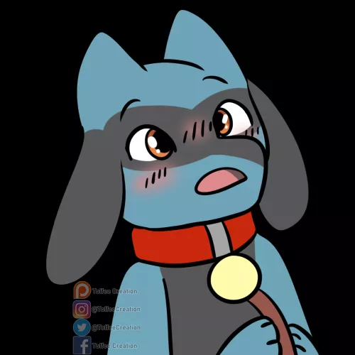 Riolu! (Commissioned Art :D) by ToffeeCreation