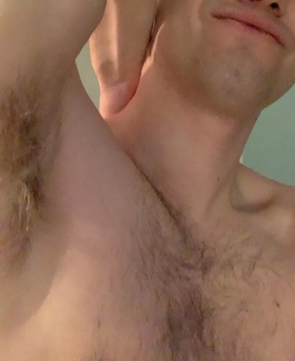 who’s gonna let a homoph0bic cocky white maga bro bully and ruin them? u know u want it. 22m posted by iimatoa3