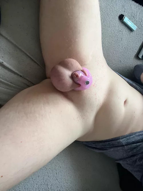 1 week in clitty cage 😈😍 by SissyPrincess8