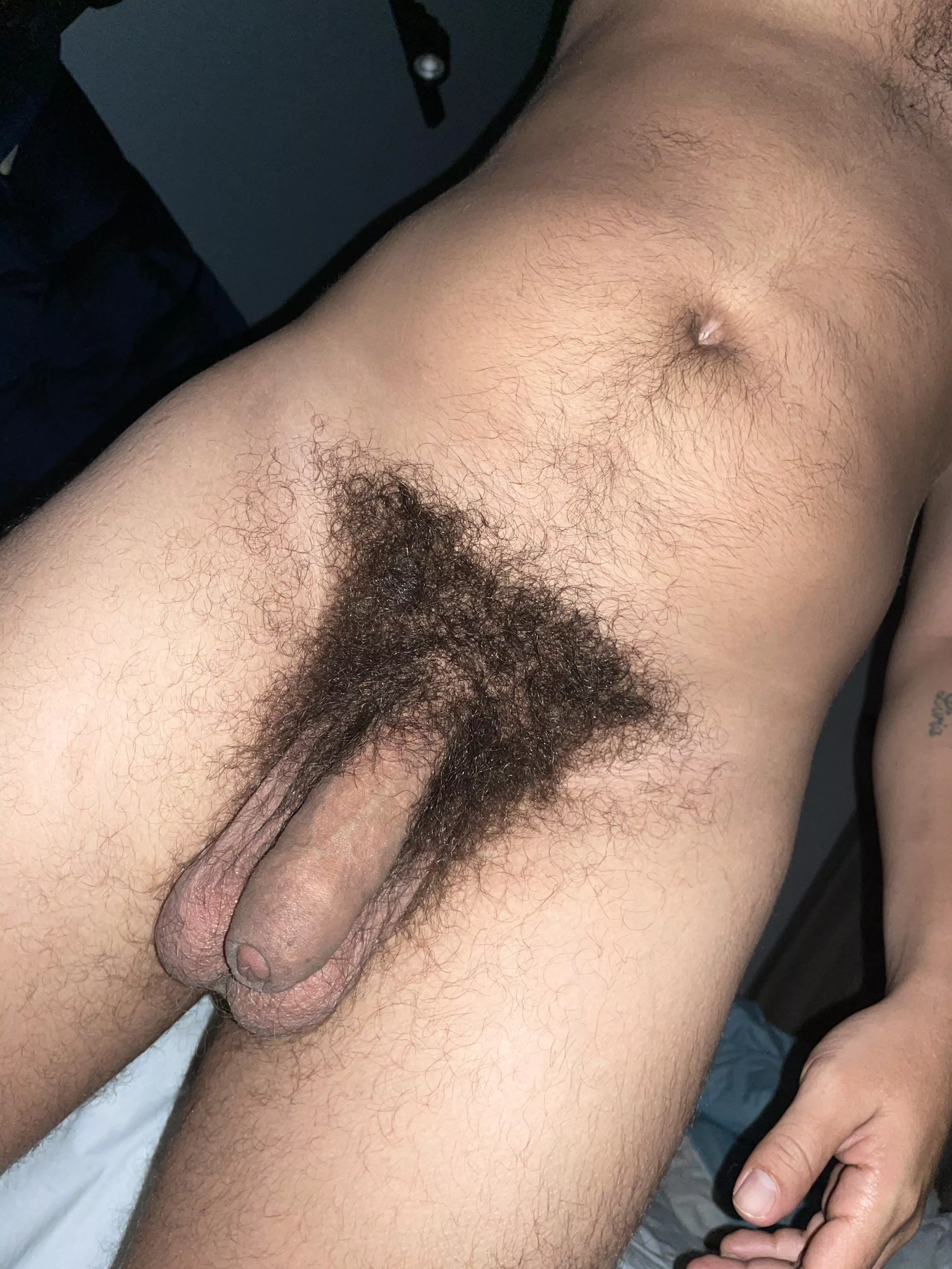 A dense forest, a strong horniness posted by Western-Ad-7803