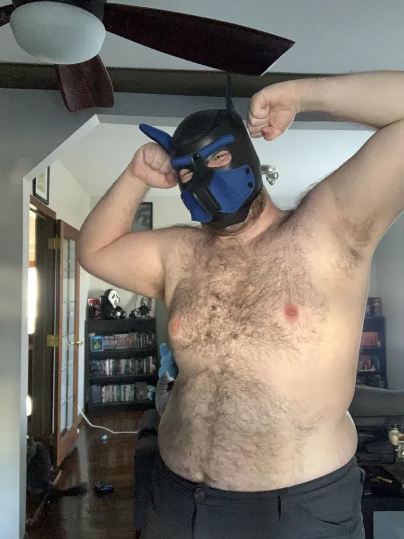 Bear pup enjoy the natural light by Bearded_Bear_J