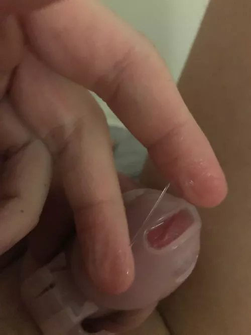 Chastity will for real make you wet like a girl haha by studentprudent2