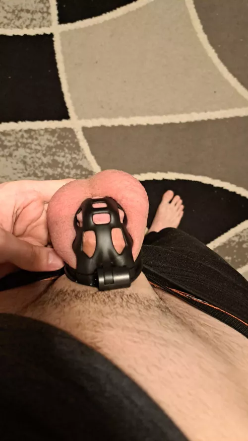 Day 4 out of 7 by Aromatic_Character42