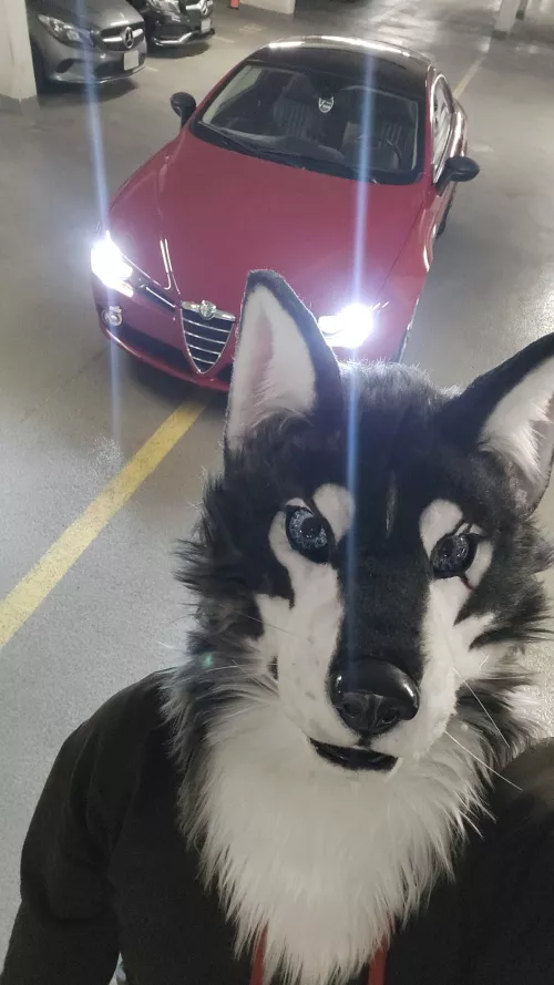 Enjoying my (fairly) new partial by waIgreeens