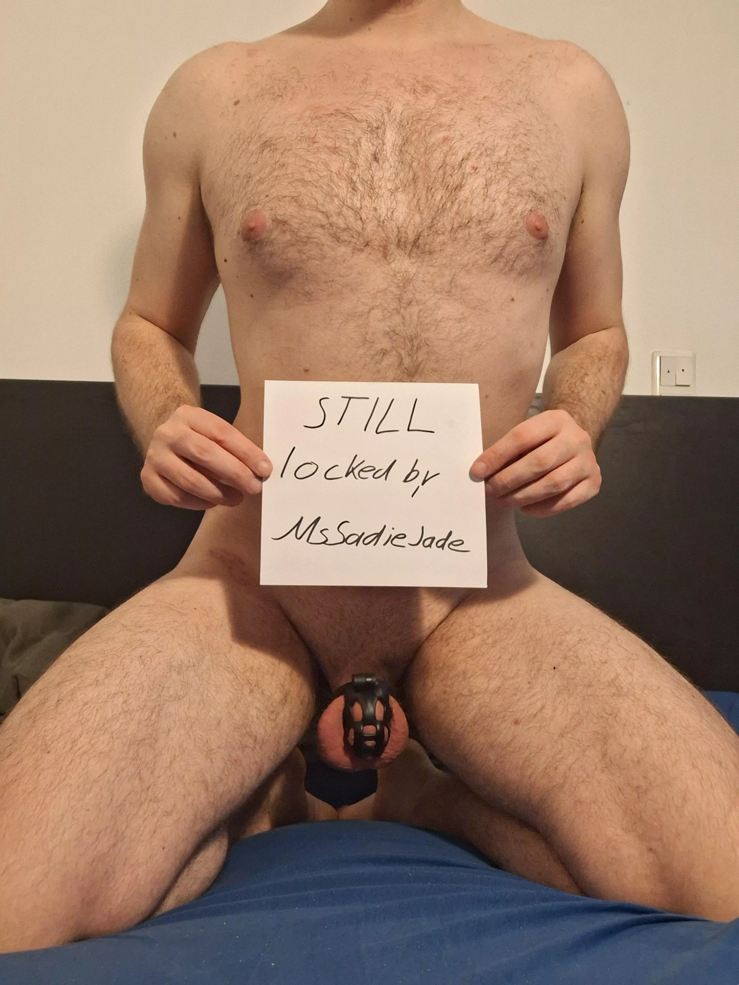 For every up'vote, I get slapped in the balls. For every comment, I get 5 swats on my ass. Please do your worst! posted by felixxsub