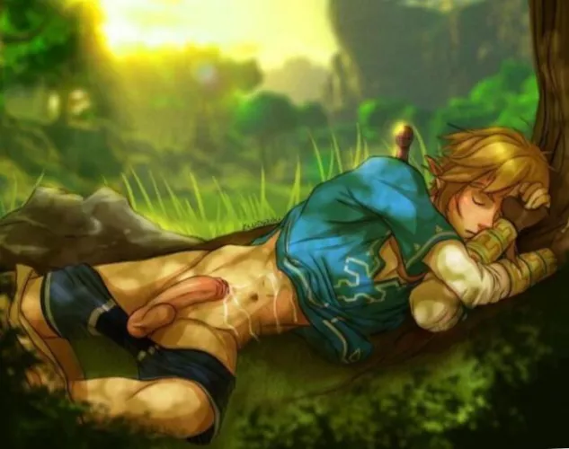 link sleeping in the forest by regard_cable