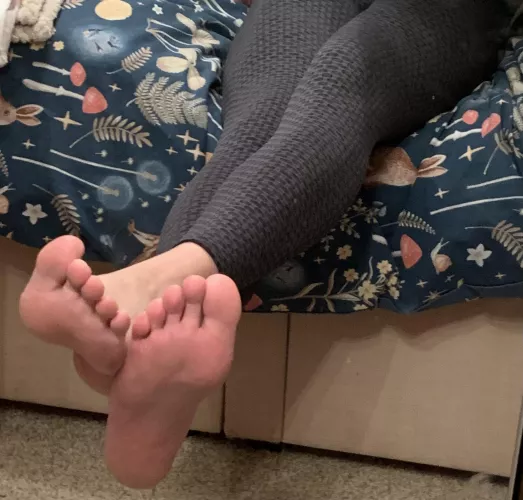 Put them in your face? by SnooOranges9912