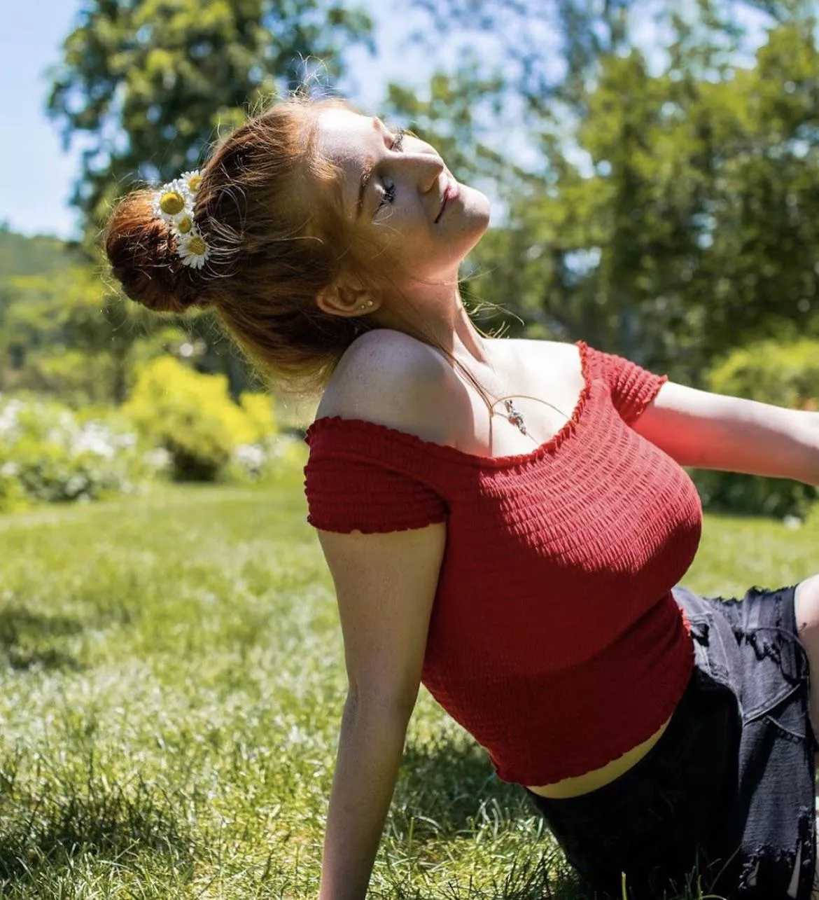 Shirt stretchers posted by extremelyhungjake