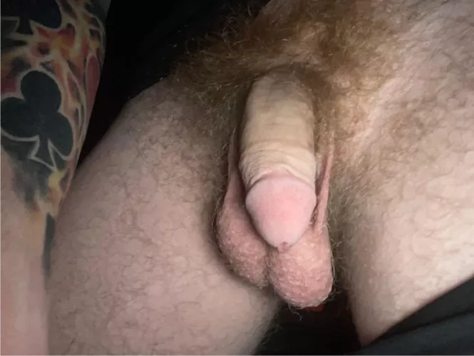 Soft by damiensutton20