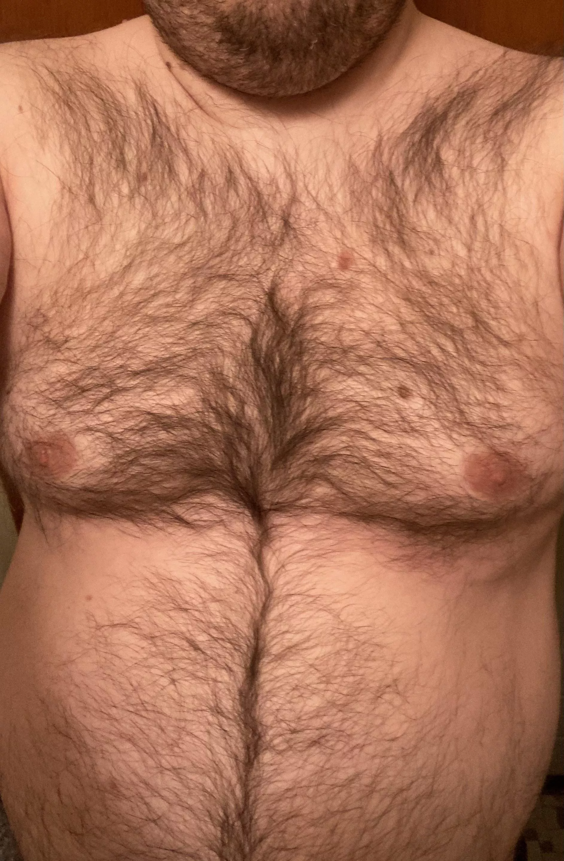 What do you think? posted by Alone-Conflict-9013