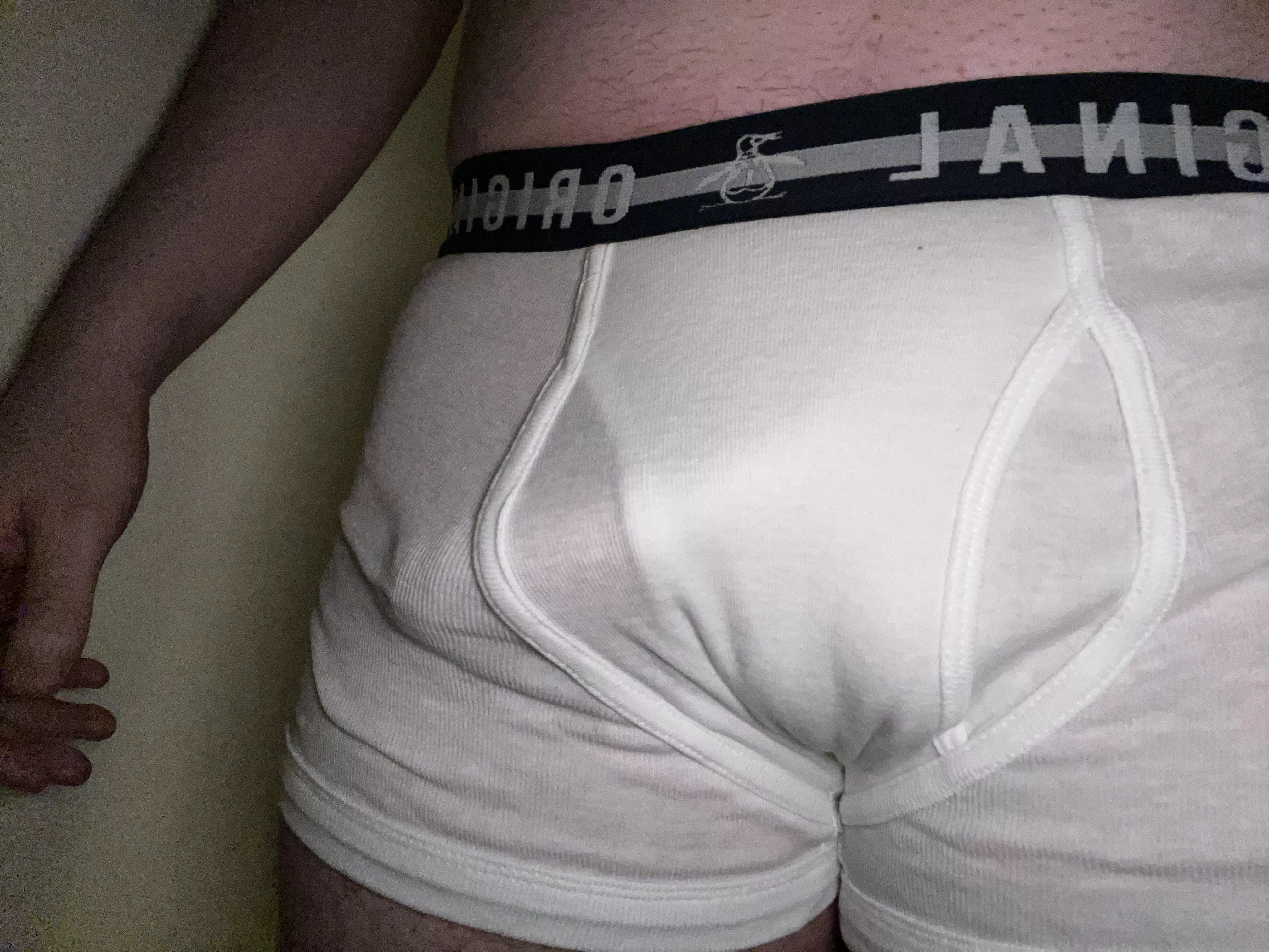White boxers posted by pony12345678910