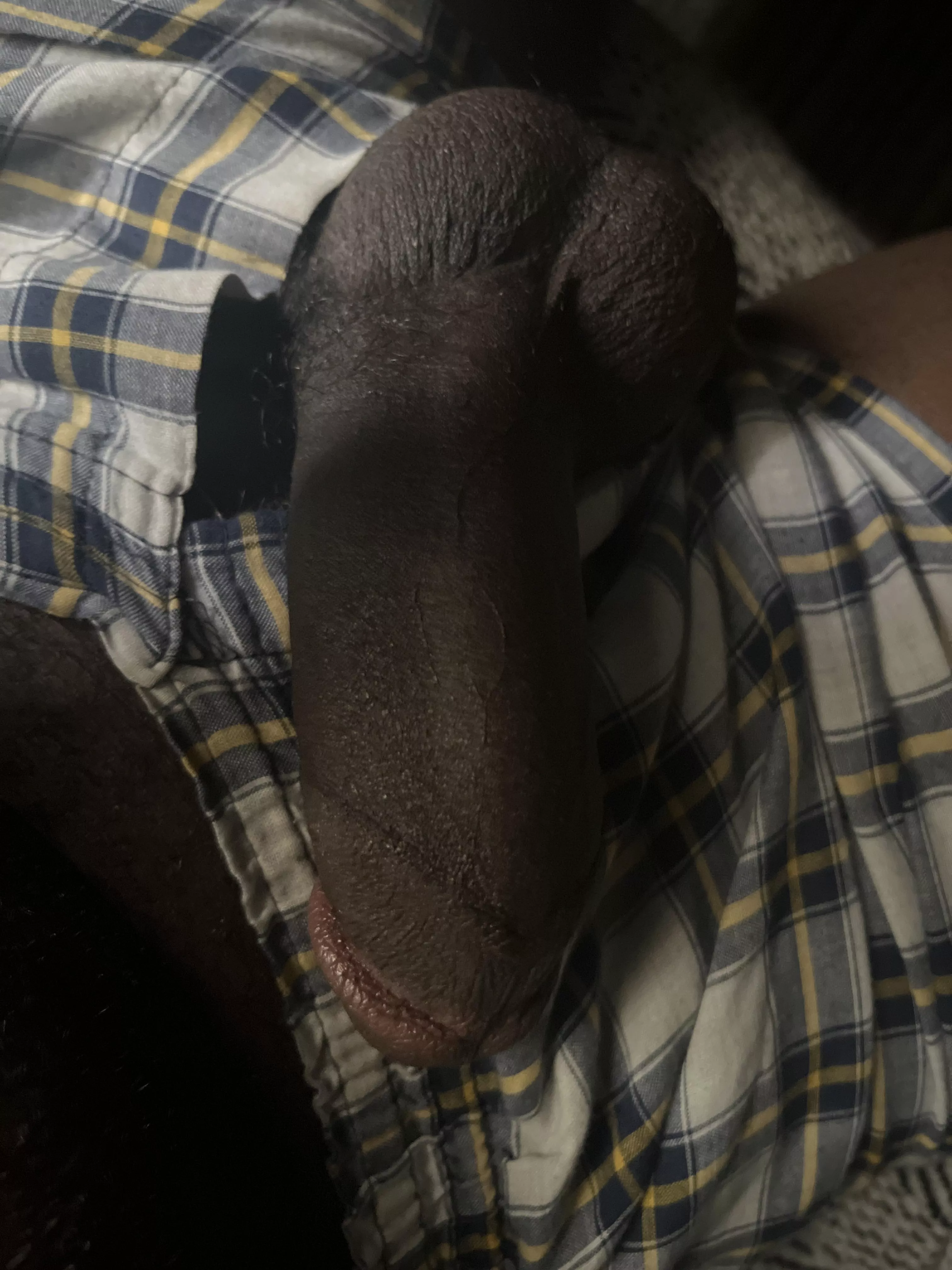 [22] love the attention  posted by Sharp_Foundation2230