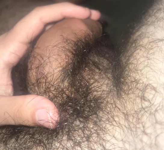 24m bi by thebigbird44