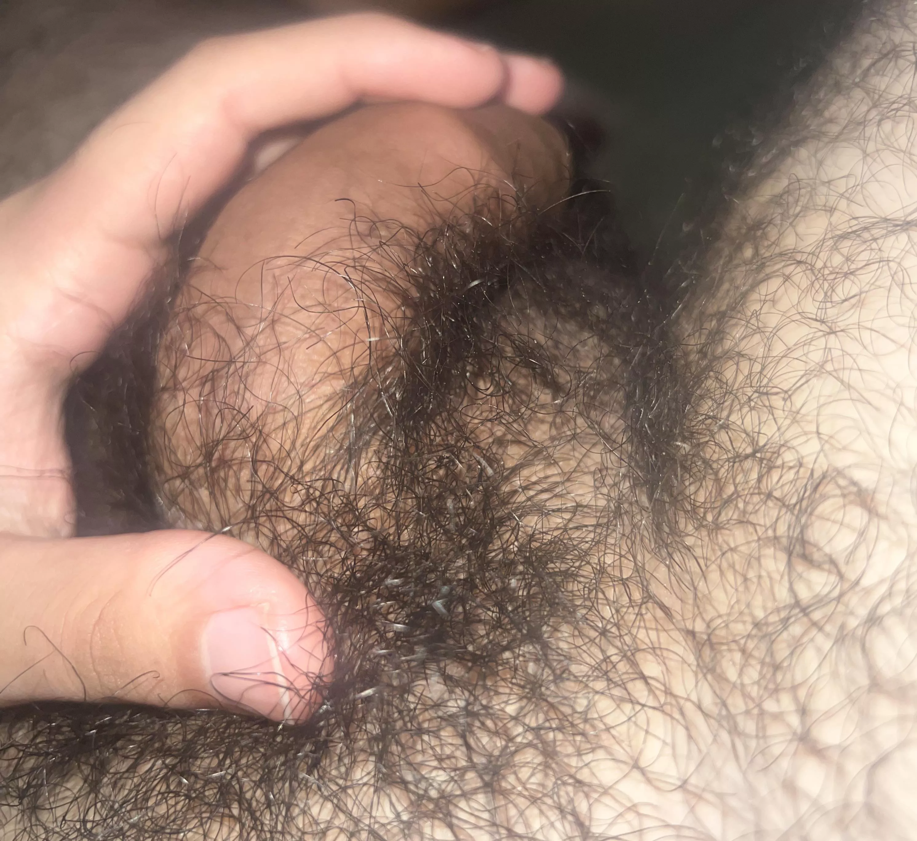 24m bi posted by thebigbird44