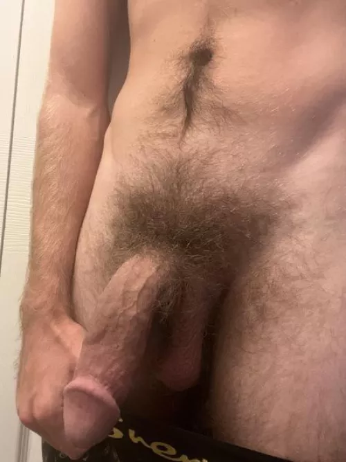 A picture of my semi and bush by ds527