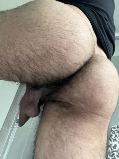 Can I sit on you ?  by ammarreddit95