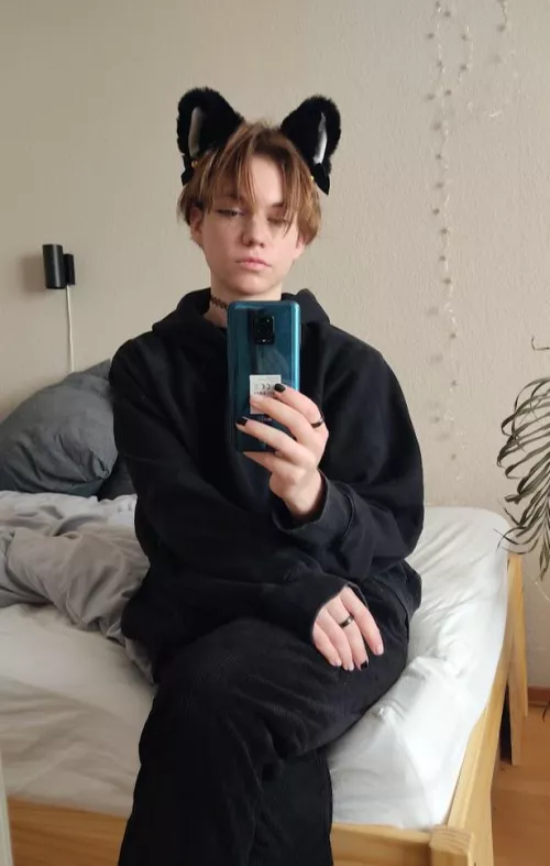 Do you prefer cats or dogs? by FaintsFB