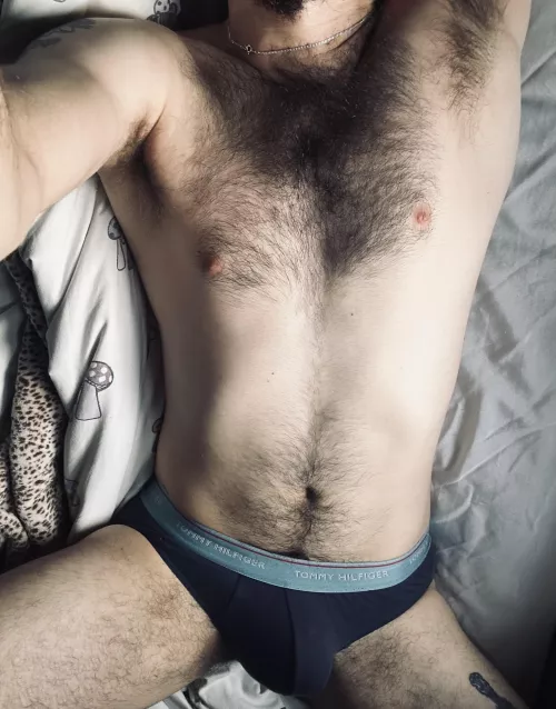Do you wanna wake up to my hairy chest :)  by mazir303