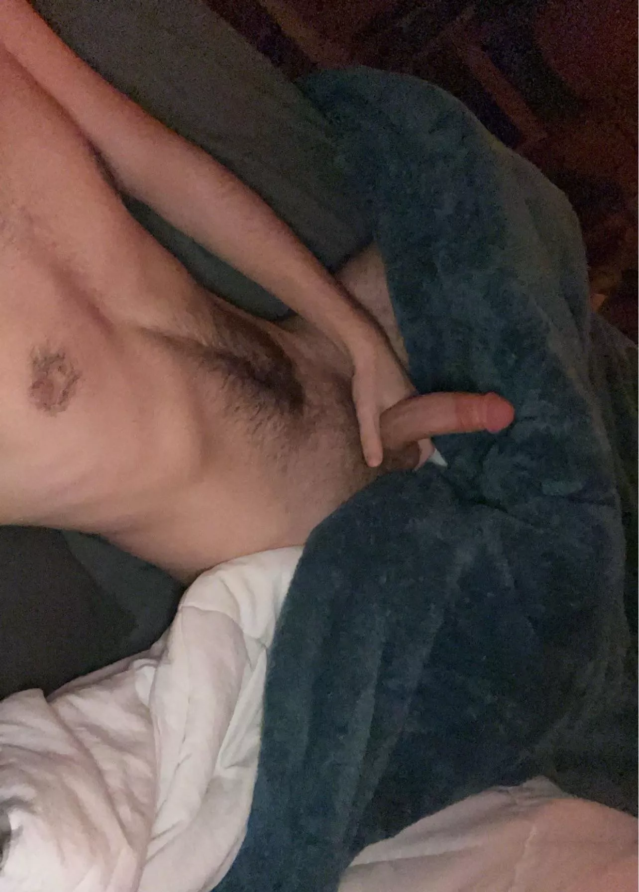 hairy enough? posted by hglndswnc