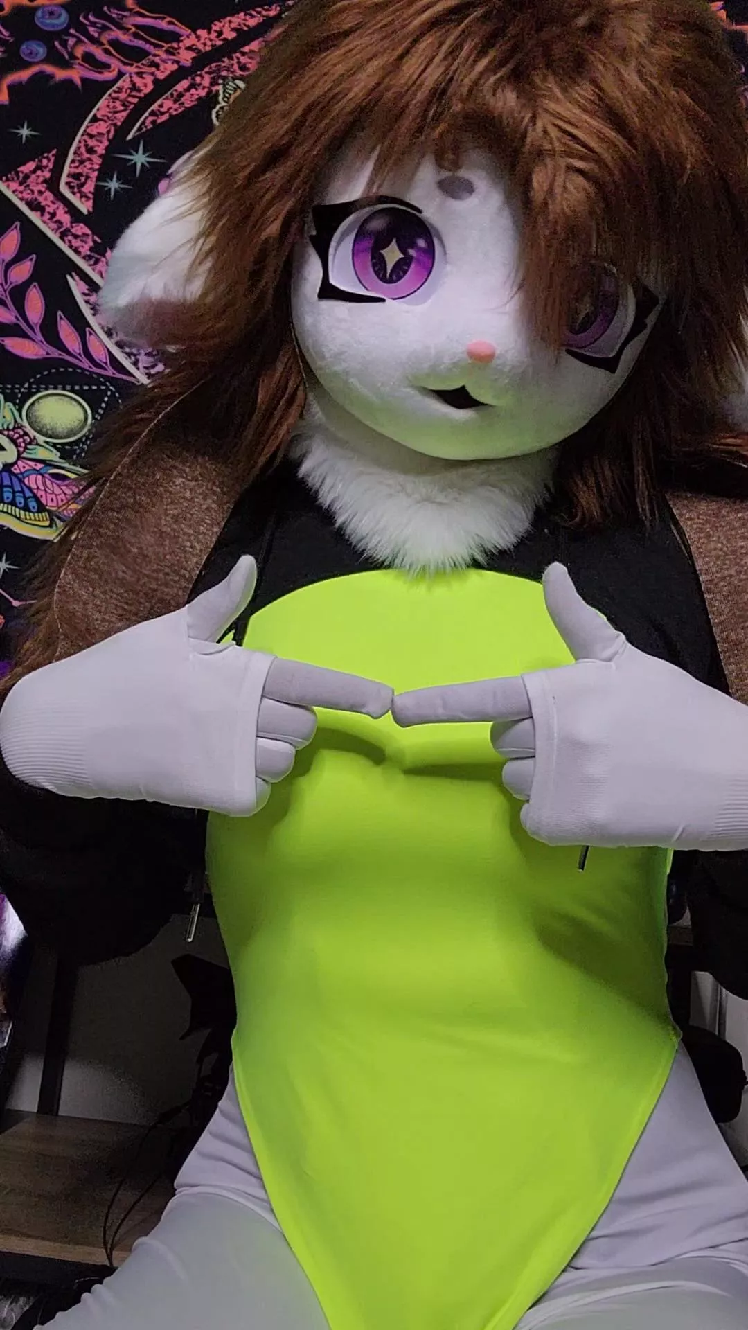 I didn't know I was a Furry until I decided to make some bad financial decisions. Now I'm stuck with this cutie in my life <3 posted by LookItsSnowy