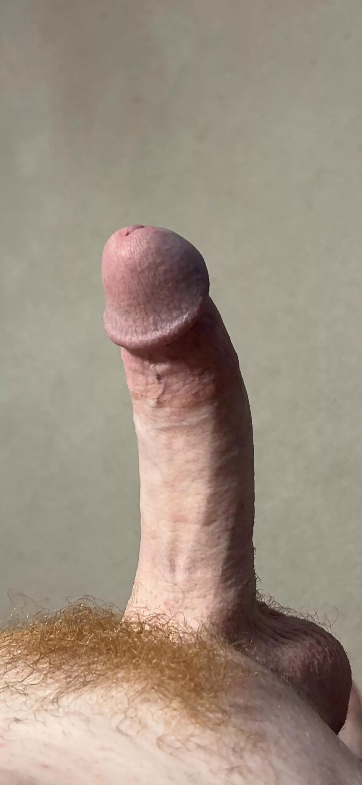 In need of a good service posted by CaptainSwordsman