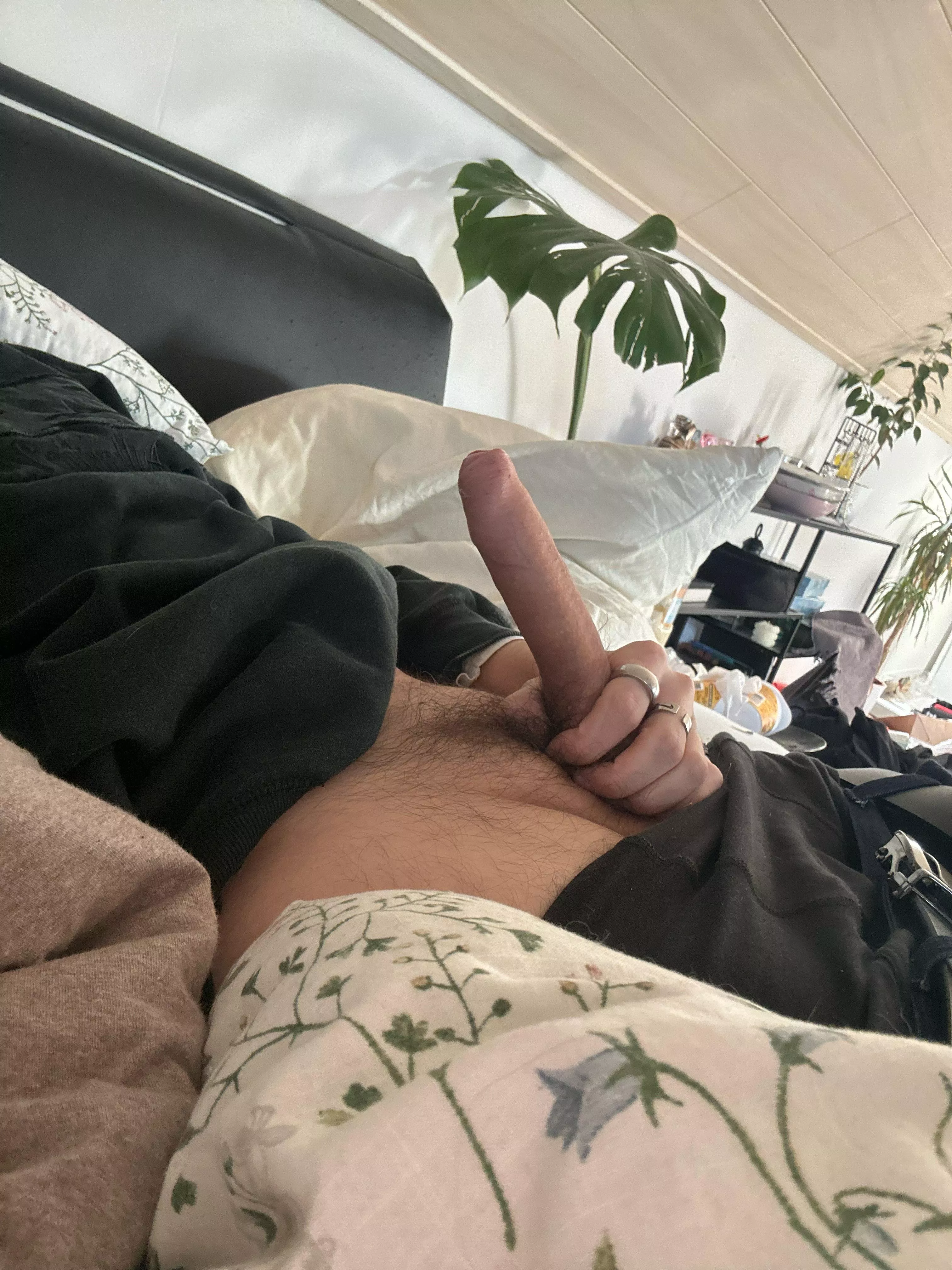 lets make out and you ride me posted by Exact_Entrepreneur61