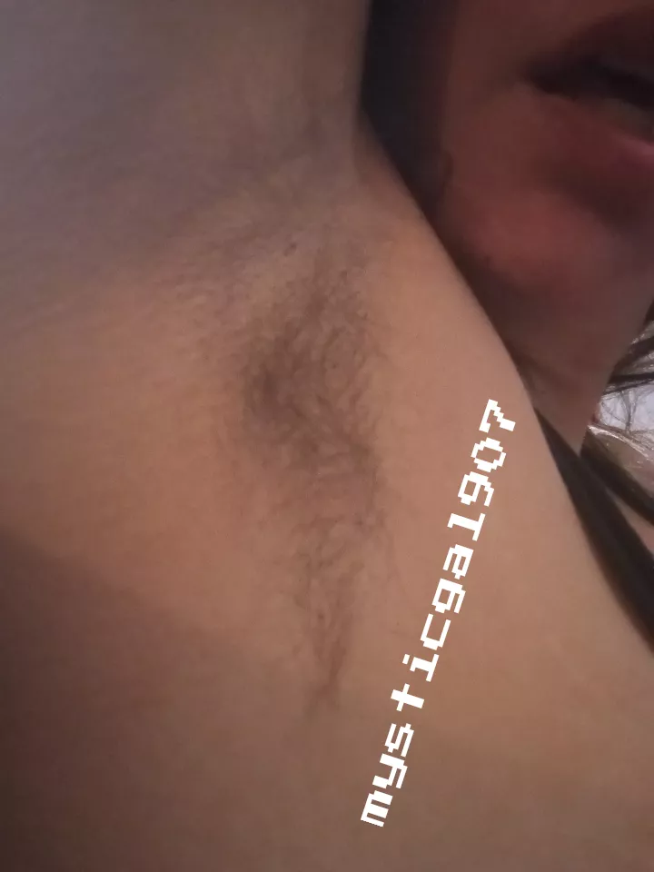 My fuzzy pits posted by MysticGal907