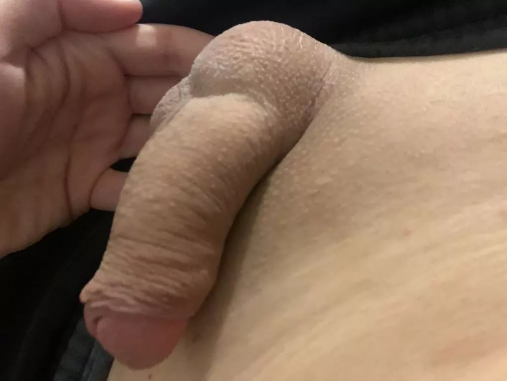 negative software, anybody want to compare? posted by alexilc69