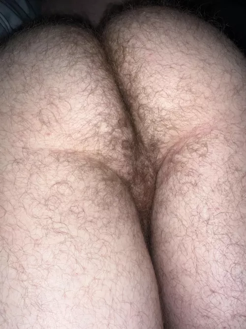 Run your nose thru my hairy ass crack by FartsTX