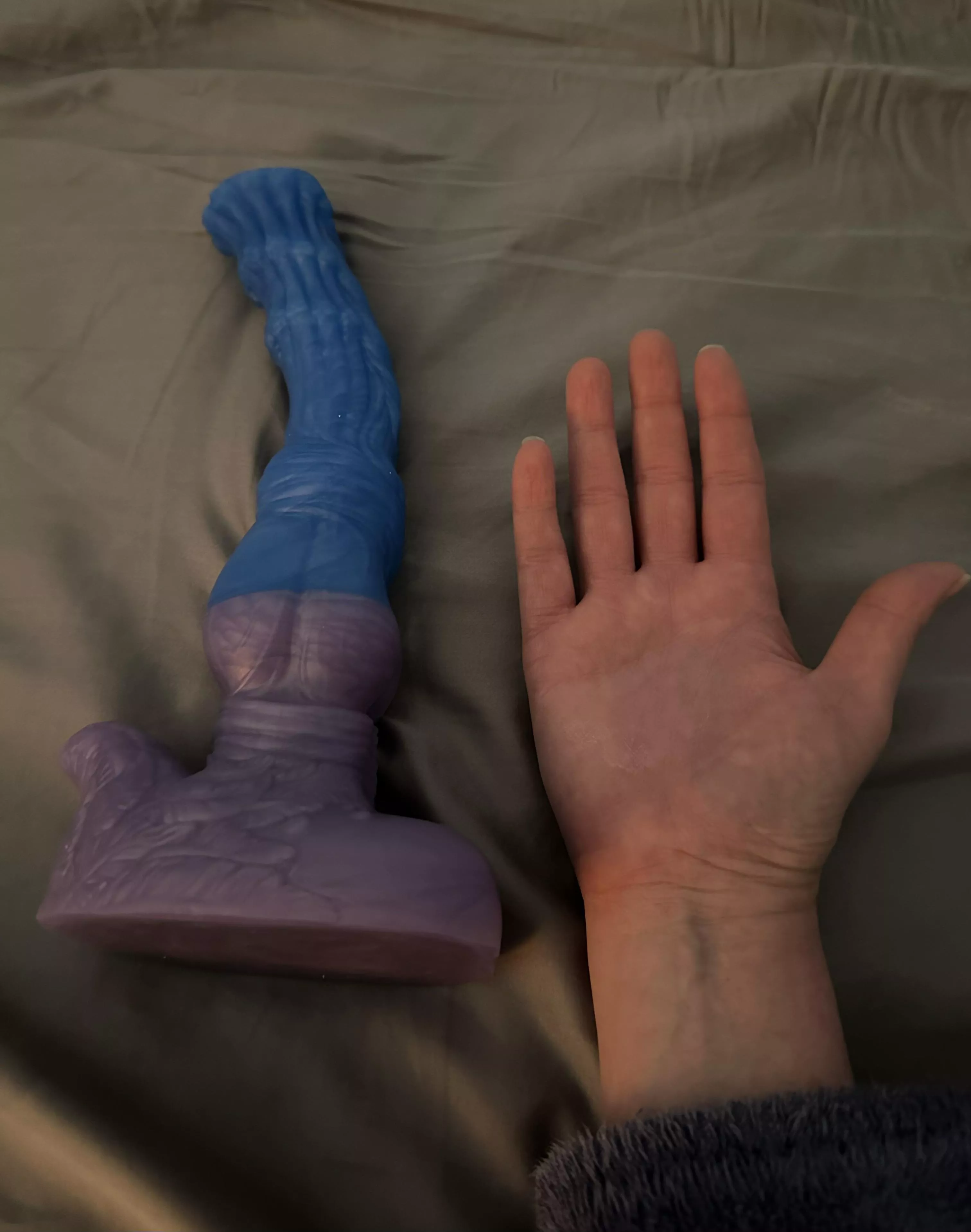 Size comparison of Seraphina…. posted by Arrabella4