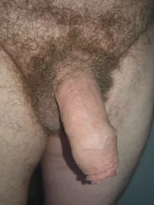 Soft and hairy  by ppoiu6