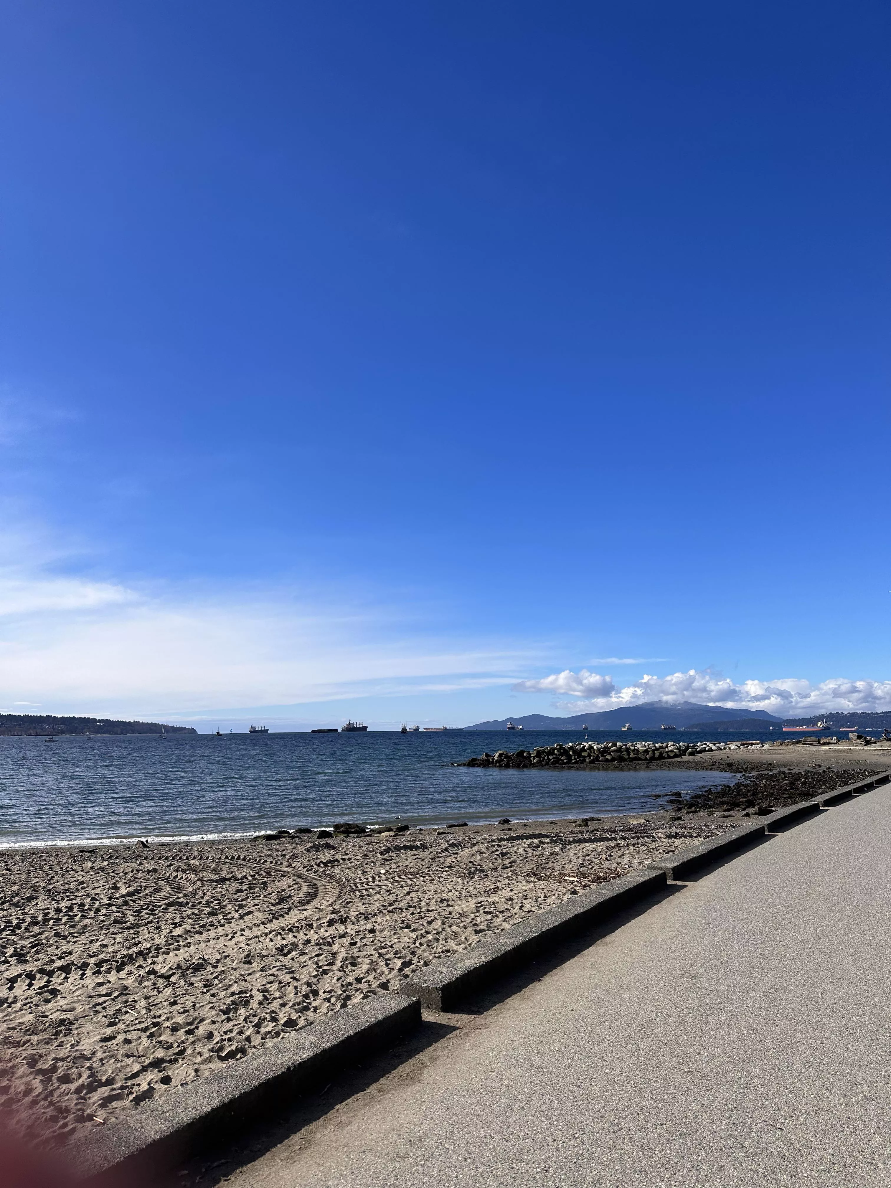 Wakayama Clone posted by Potential_Self5501