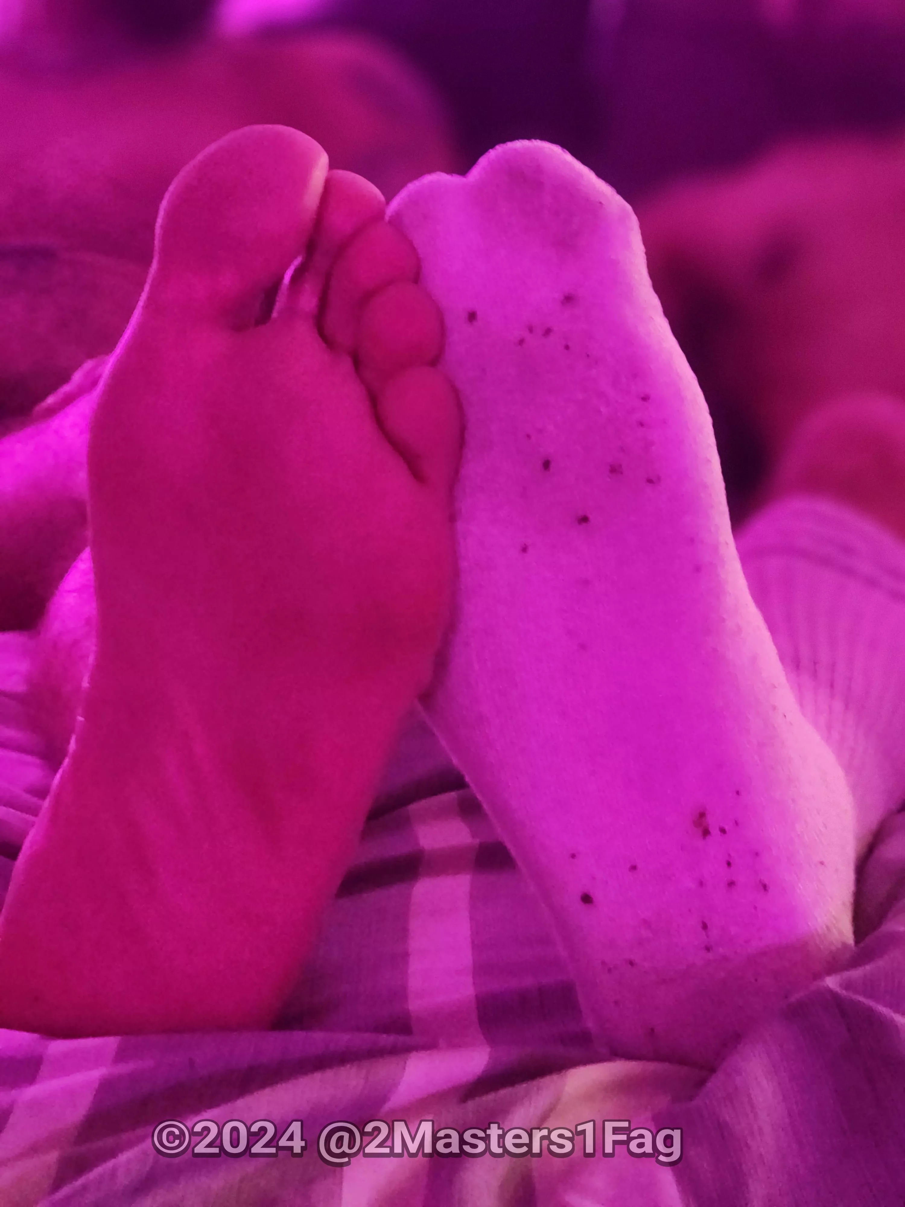 We are deserving Alphas.  Worship.  Serve.  Obey. posted by 2Masters1Fag