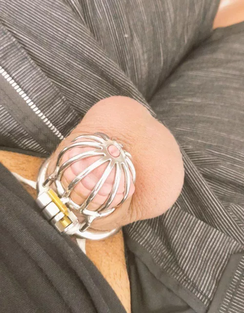 Went to a party last night with my cage on, no one noticed, but it was a thrill the entire time. by Throwayfastasyoucan