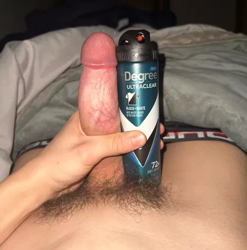 What do ya think?  by Crazy-Bumblebee-4921