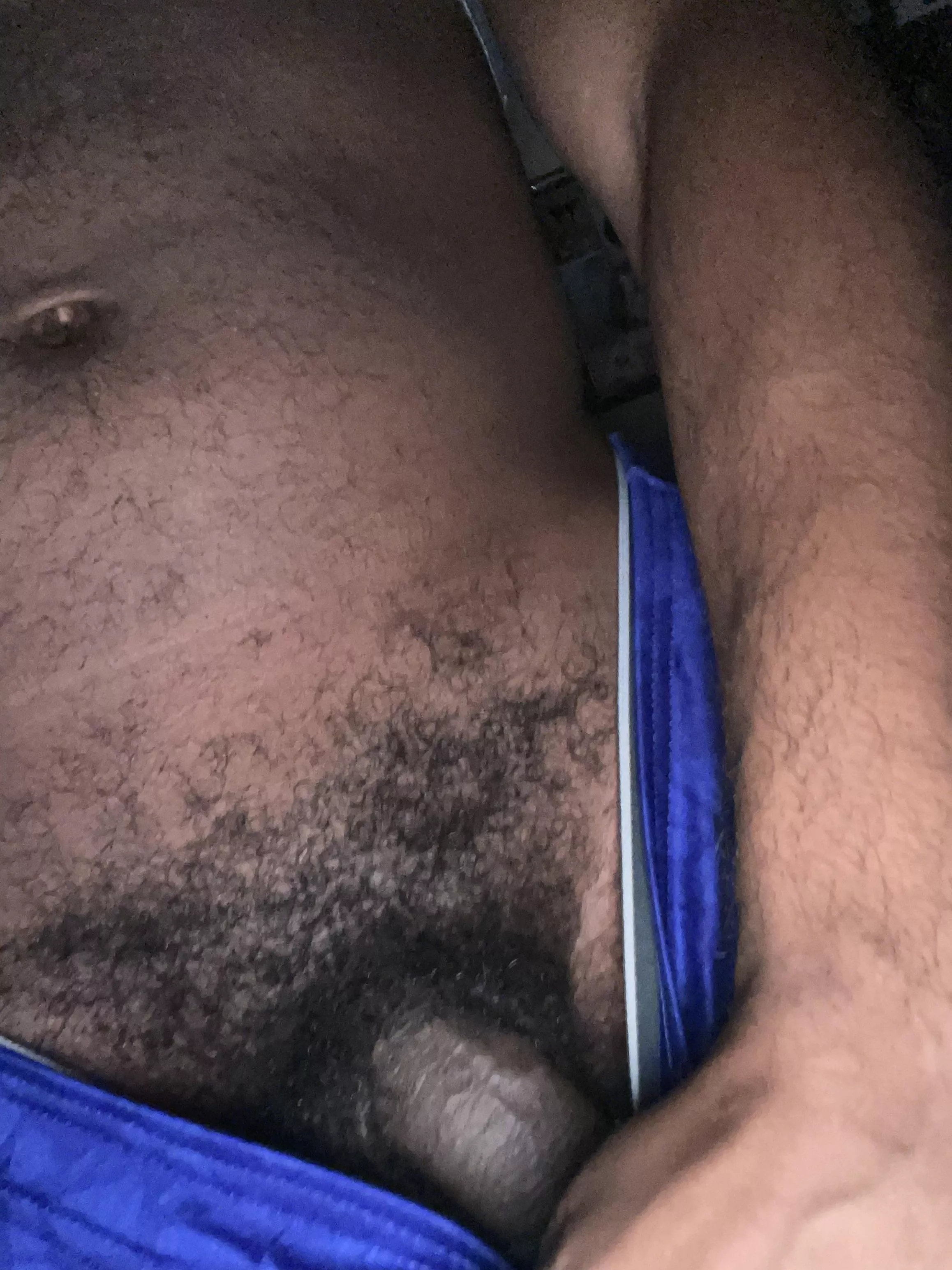 What do you think about my bush? posted by Outrageous-Field9972