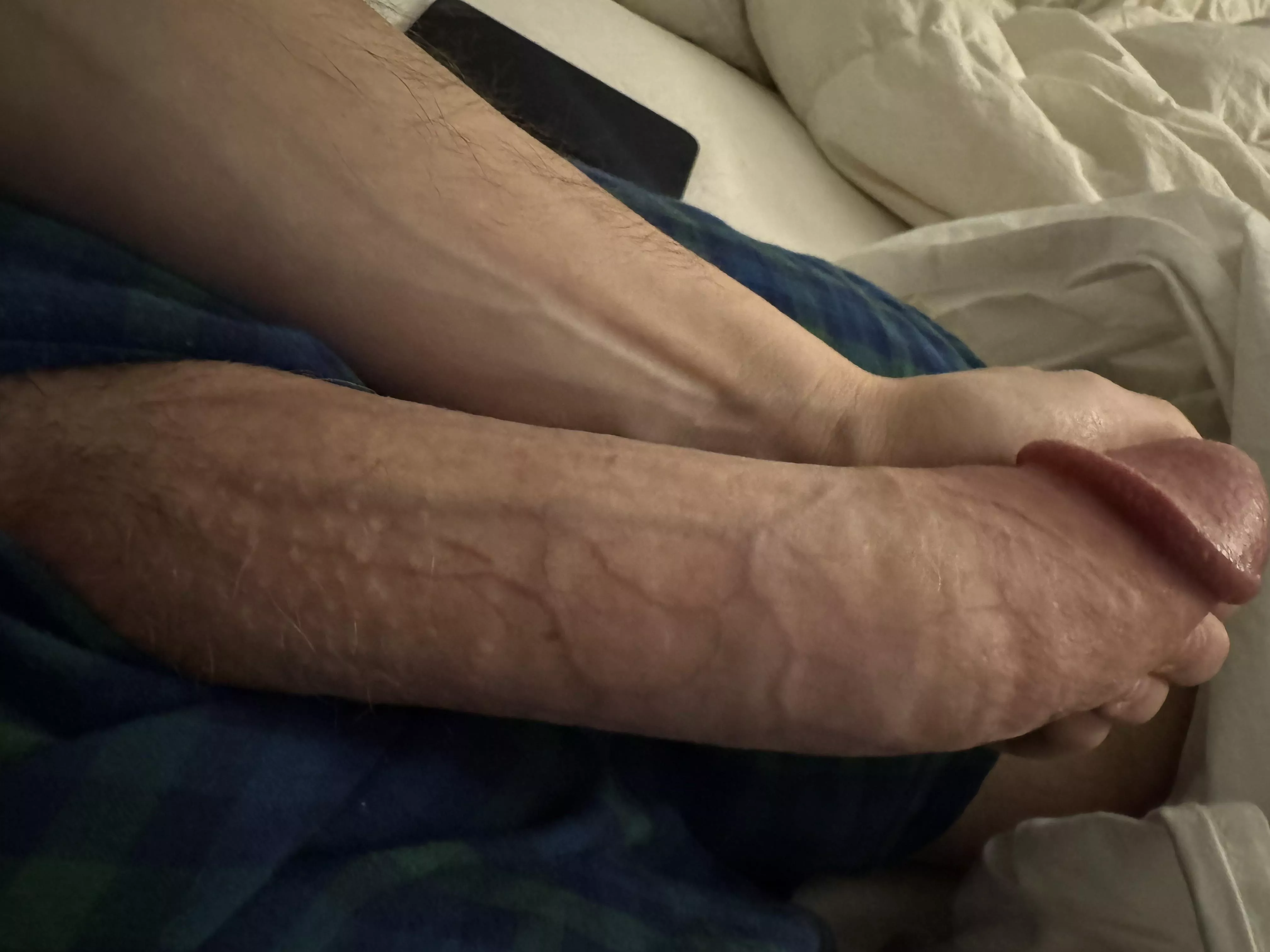 Would you mind if I shoved my dick in your mouth? posted by Ok-Credit-9412