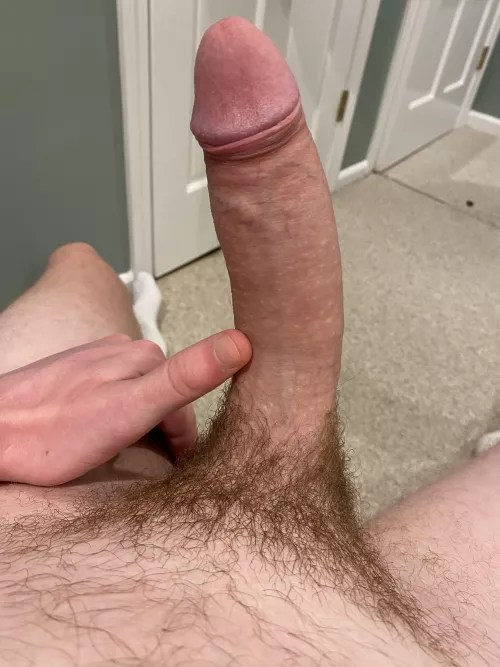 Would you suck your friend’s big hairy cock? by shy_and_hung