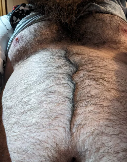 You like hair on you chubby guys? by SoftExplorer4303