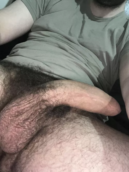 You like my big hairy cock?👅 Dms open😈💦 by HungYoungAlpha-