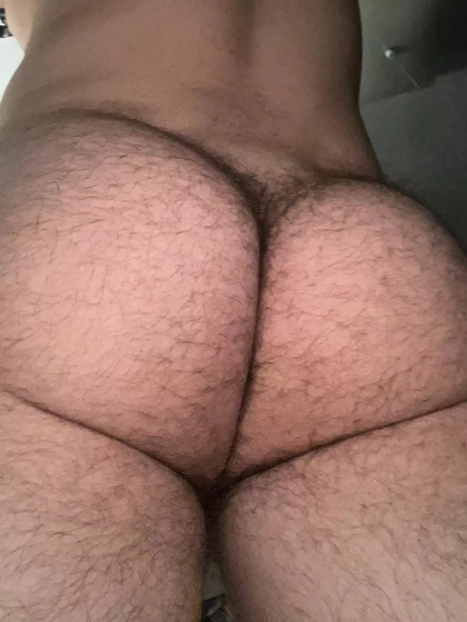 24 in shape DL Arab bottom with a big furry ass. 😏 snapp me: AFurFun posted by FrameWitty1609