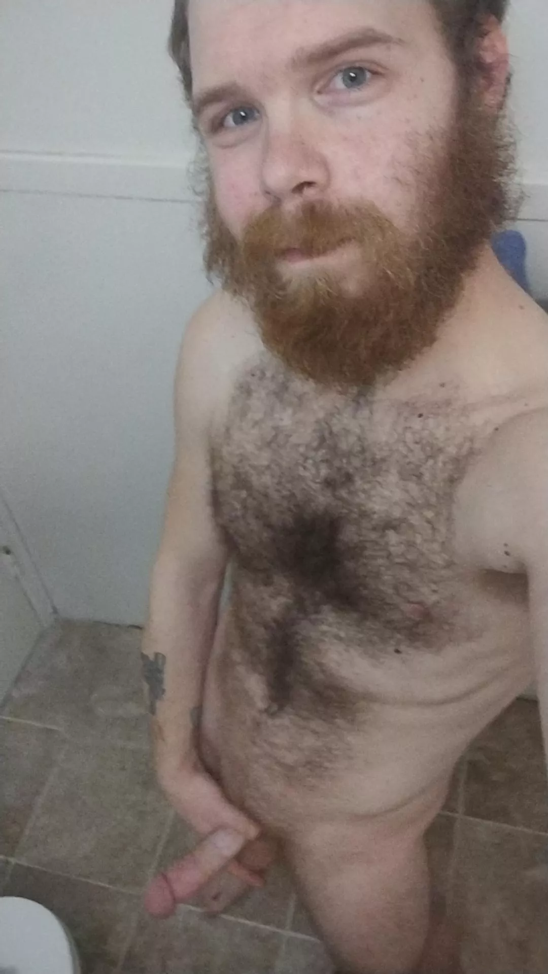 Anyone wanna chat? posted by Muted_Replacement448