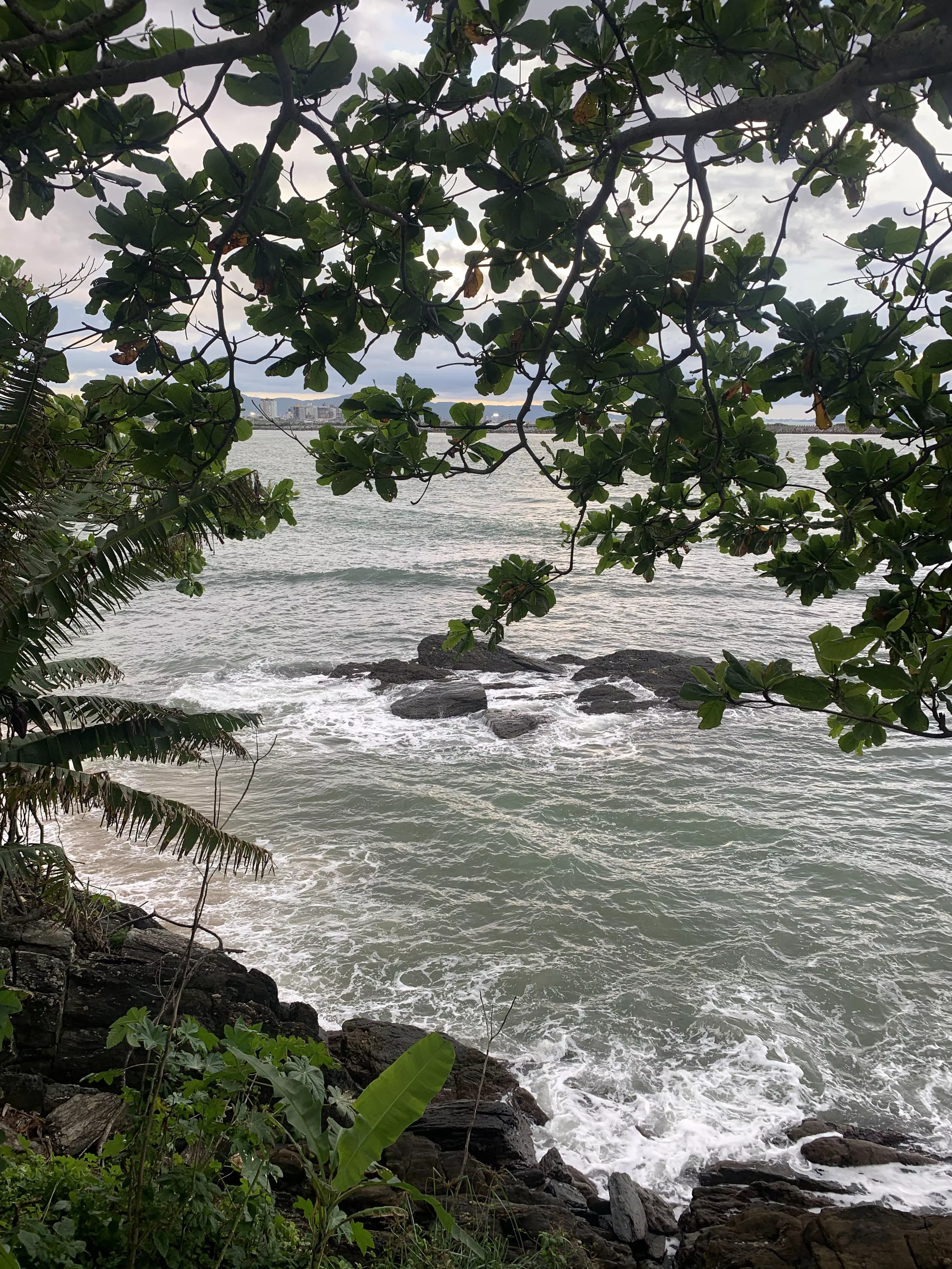 Brazil 🩷 posted by kelytroy0