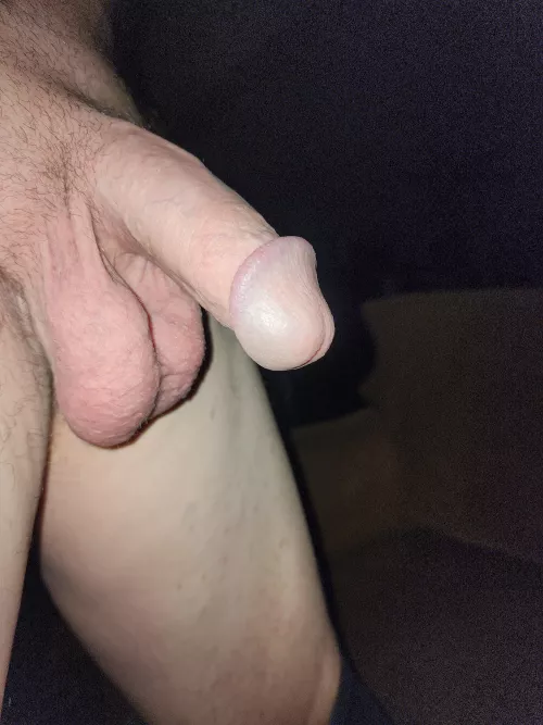 Cut at birth. by East-Independence-26